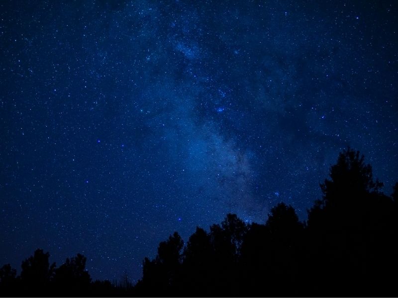 晴れた日にはロッジまでの道のりで満点の星空を見られることも!